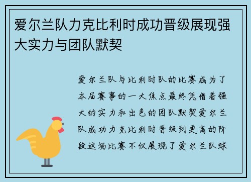 爱尔兰队力克比利时成功晋级展现强大实力与团队默契