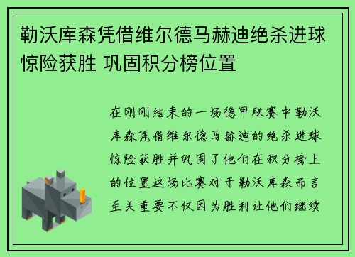 勒沃库森凭借维尔德马赫迪绝杀进球惊险获胜 巩固积分榜位置
